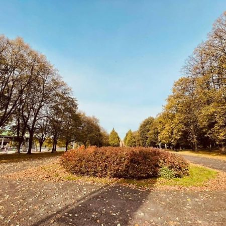 Apartamenty Ktw Silesia City Center - Park Slaski Katowice Buitenkant foto